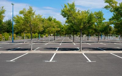 Parking Lot Paving 101: What Every Business Owner Should Know Before Starting